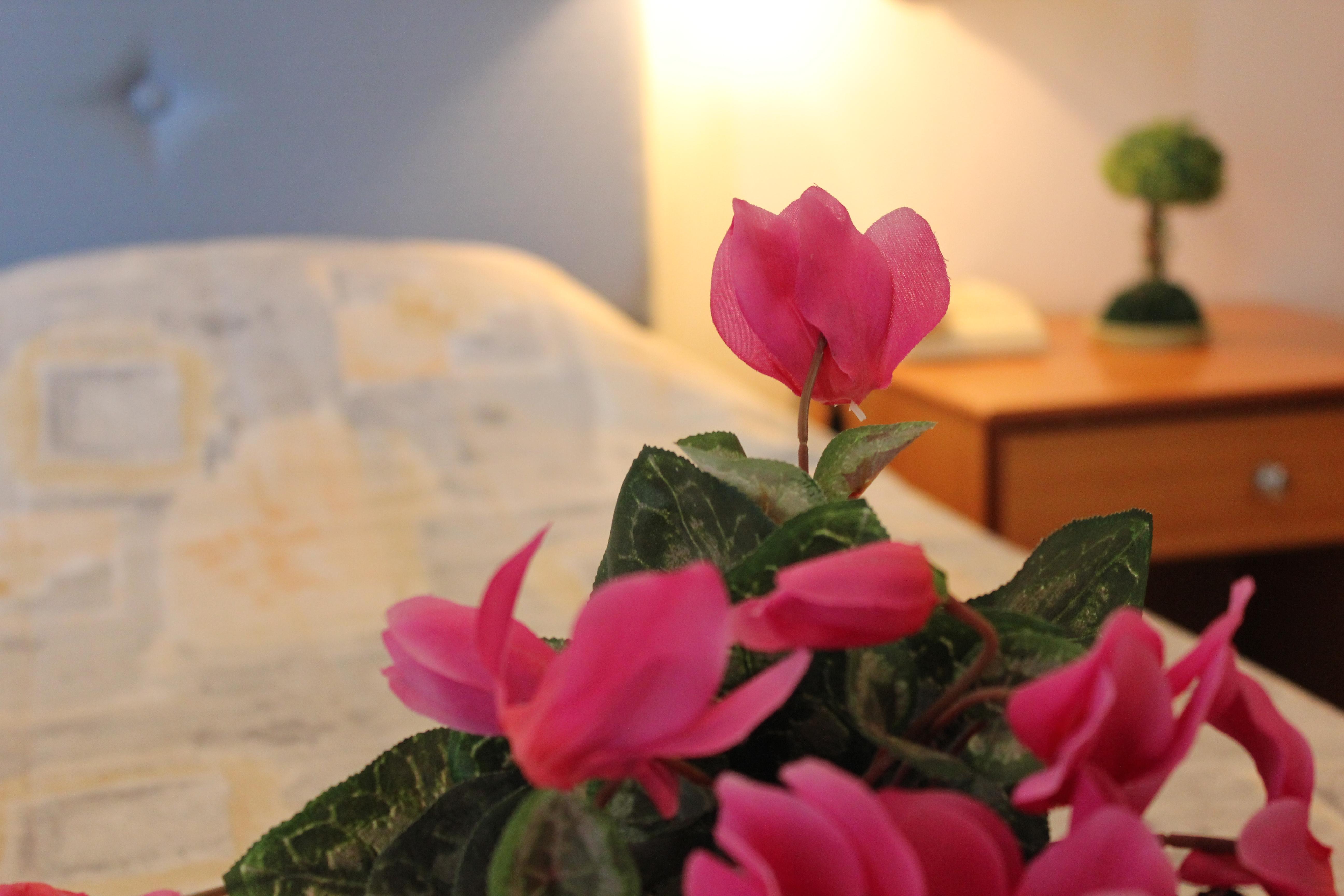 Filmar Hotel, Ixia, Rhodes Екстер'єр фото
